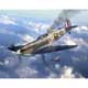 Spitfire Mk.II Aces High Iron Maiden (1/32)