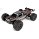 Pirate XT-6 Xtreme Truck Brushless 4S 4WD RTR (1/6)